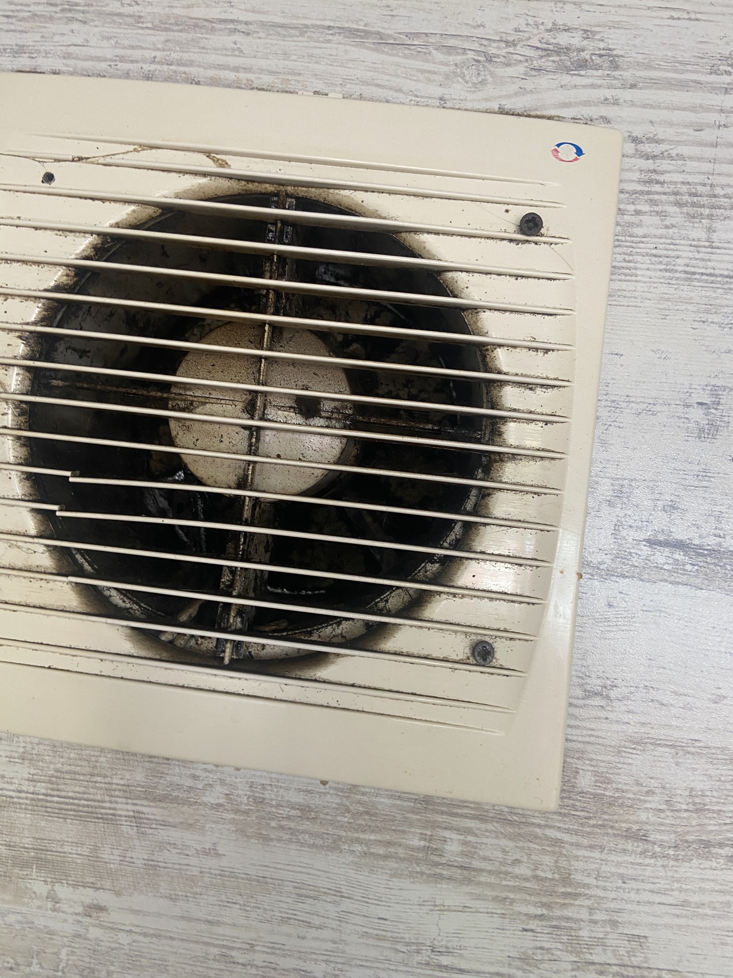 6 (2)_1774356659.jpeg